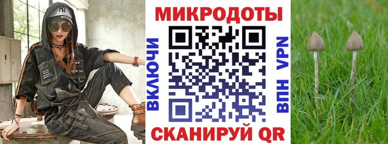 Псилоцибиновые грибы прущие грибы  mega как войти  Ярославль 